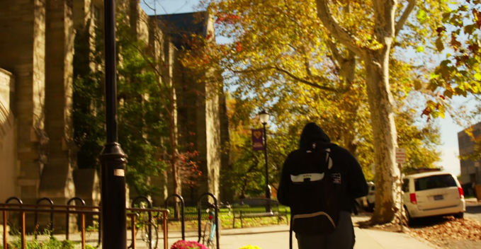 Golden Leaves are Falling